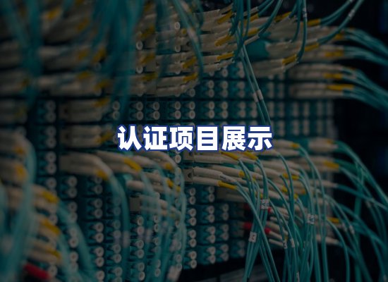 认证项目展示