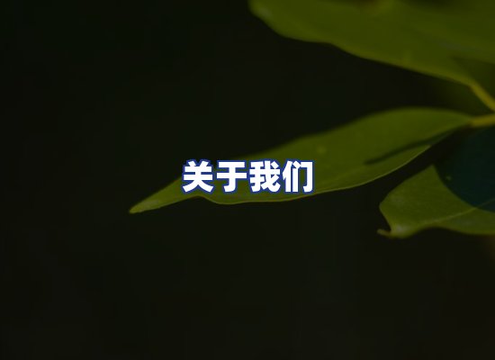 专业团队